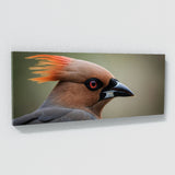 Waxwing Feathered Intensity 78