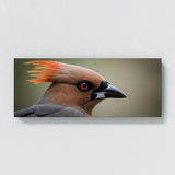 Waxwing Feathered Intensity 78