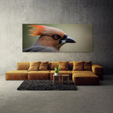 Waxwing Feathered Intensity 78