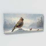 Waxwing Snowy Watch 7
