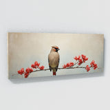 Waxwing Symmetrical Beauty 100