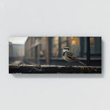 Wagtail City Contrast 72