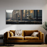 Wagtail City Contrast 72