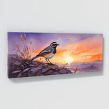 Wagtail Evening Hues 40