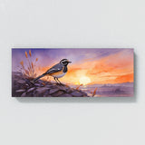 Wagtail Evening Hues 40
