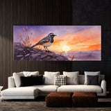 Wagtail Evening Hues 40