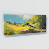 Wagtail Summer Dance 56