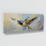 Wagtail Swift Dance 50