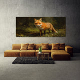 Fox Alert Gaze 50