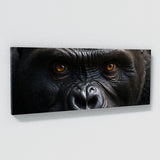 Gorilla Gaze 83