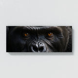 Gorilla Gaze 83