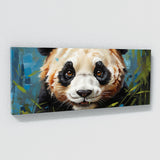 Panda Gaze 89