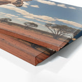 Kangaroo Leaping Outback Majesty 81