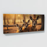 Kangaroo Maternal Embrace 97