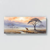 Kangaroo Misty Dawn 51