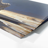 Zebra Desolate Stripe 39