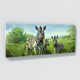 Zebra Meadow Harmony 37