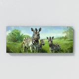 Zebra Meadow Harmony 37