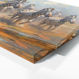 Zebra Motion Symphony 81