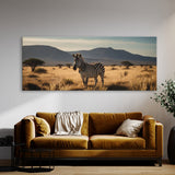 Zebra Wild Serenity 112