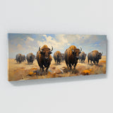 Buffalo Momentum 51