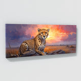 Cheetah Enchanted Sunrise 55