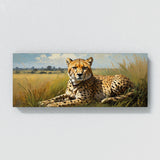 Cheetah Resting Majesty 65