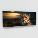 Cheetah Silent Surveillance 81