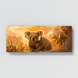 Koala Golden Glow 30