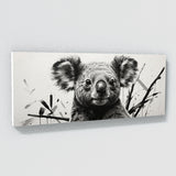 Koala Monochrome Serenity 104