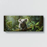 Koala Rainforest Serenity 27