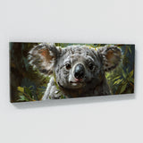Koala Soulful Gaze 11
