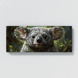 Koala Soulful Gaze 11