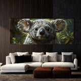 Koala Soulful Gaze 11