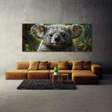 Koala Soulful Gaze 11