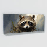 Raccoon Captivating Gaze 56