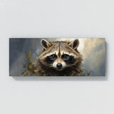 Raccoon Captivating Gaze 56