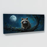 Raccoon Moonlit Gaze 25