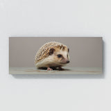 Hedgehog Modern Minimalism 85