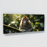Monkey Guardians Gaze 84