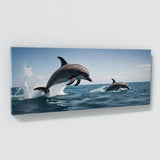 Dolphin Ascent 106