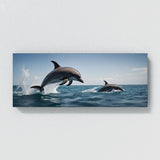Dolphin Ascent 106