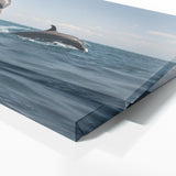 Dolphin Ascent 106