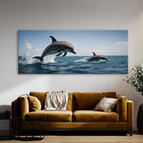 Dolphin Ascent 106