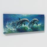 Dolphin Oceanic Whirlwind 94