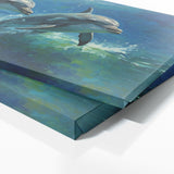 Dolphin Oceanic Whirlwind 94