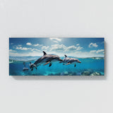Dolphin Odyssey 109