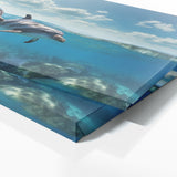 Dolphin Odyssey 109