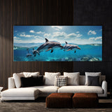 Dolphin Odyssey 109