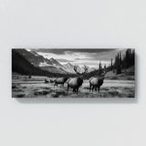 Elk Contrasting Wilderness 69